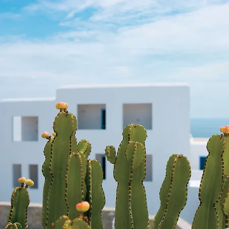 Mykonos Blu, A Grecotel To Live 5*