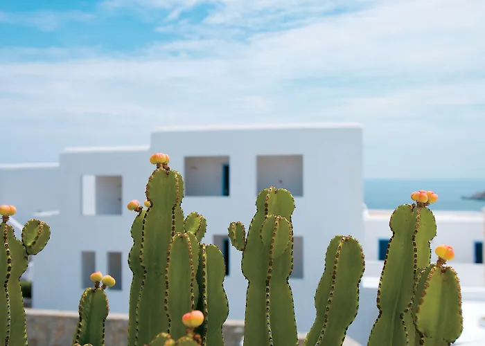 Mykonos Blu, A Grecotel To Live 5*